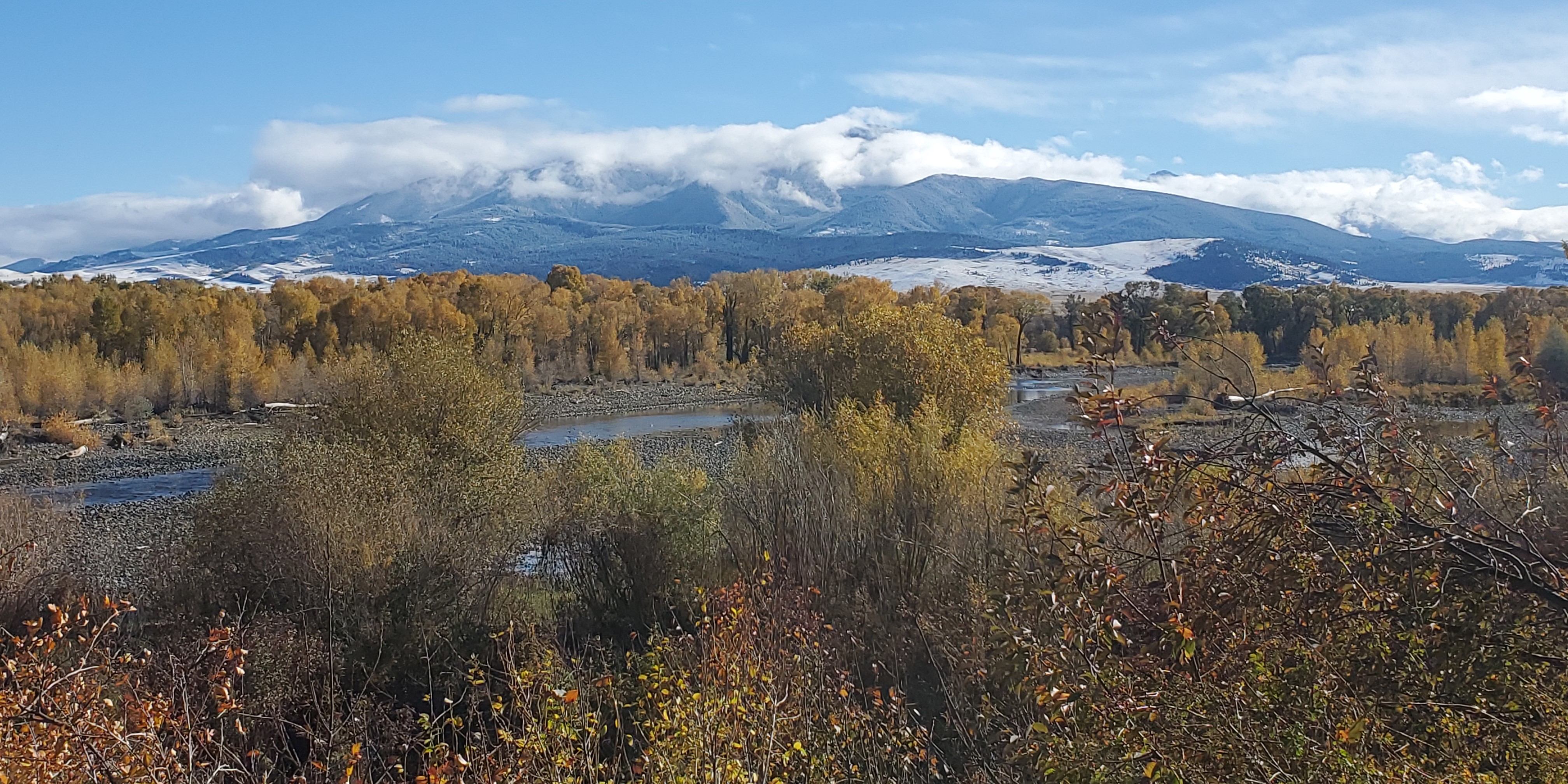 Livingston Peak with yellow trees on the riverbank before it on a sunny day