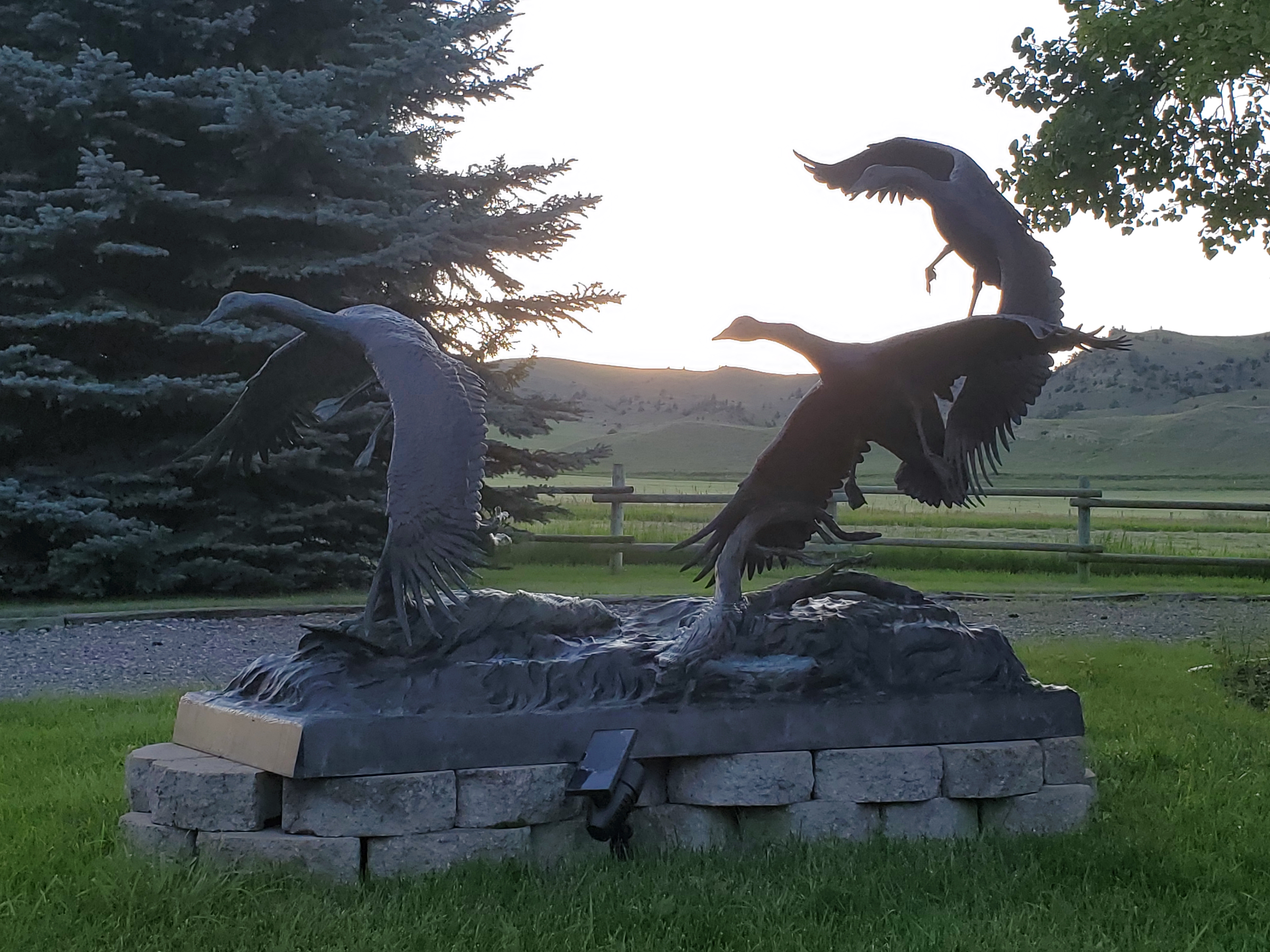 A metal statue of three geese in flight with the bright sunset and a pine tree behind it